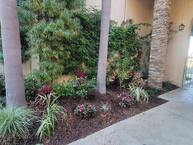 Palm Court Apartments — Photo 13