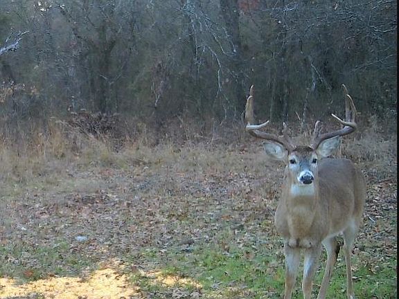 3rd image of 0 Camelback Rd