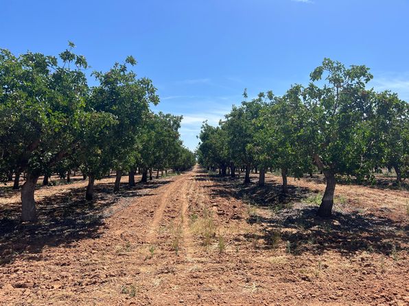 39 acres · Avenue 20 1/2, Madera, CA 93638