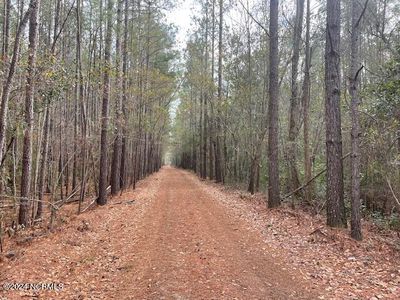 4951 Twisted Hickory Road, Elizabethtown, NC, 28337
