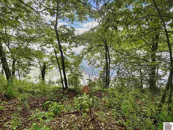 3rd image of Lot 25 Kentucky Lake Dr Lot 25