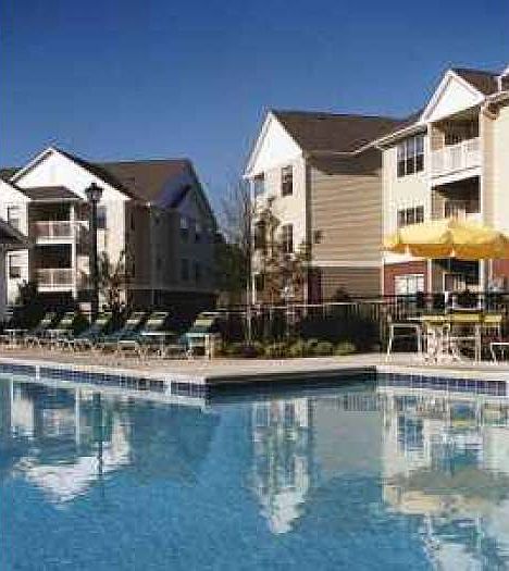 Sun-Kissed Pool
