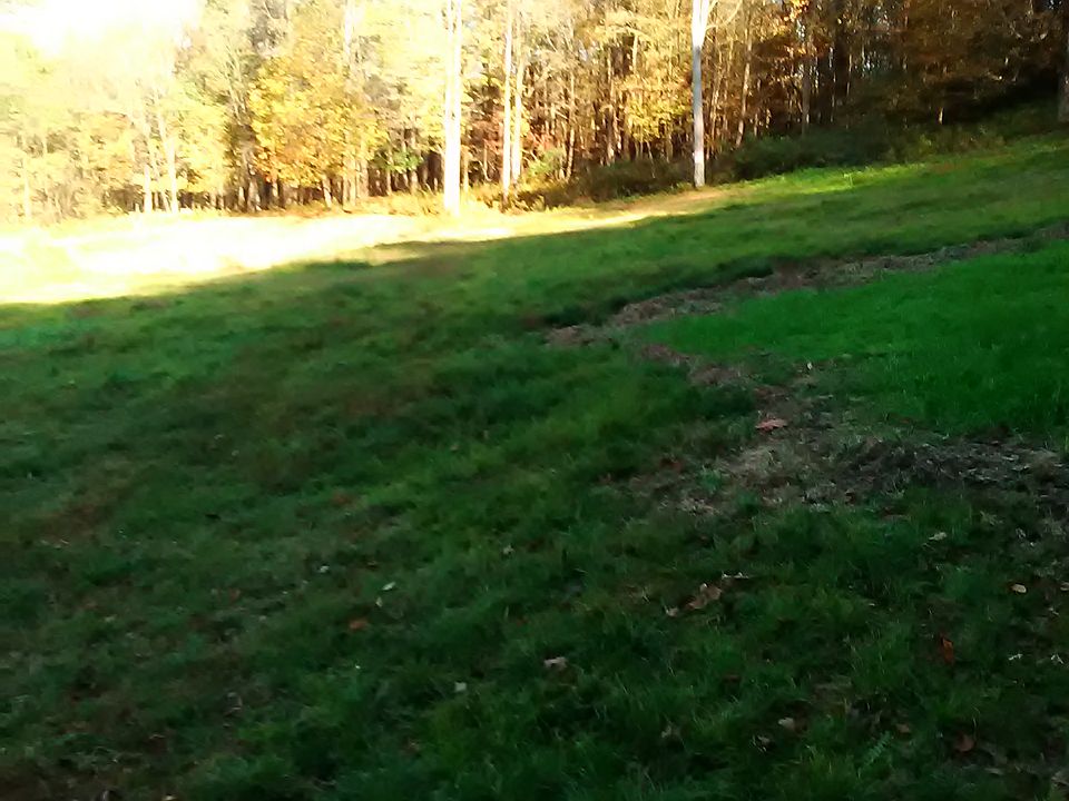 private 1 acre clearing