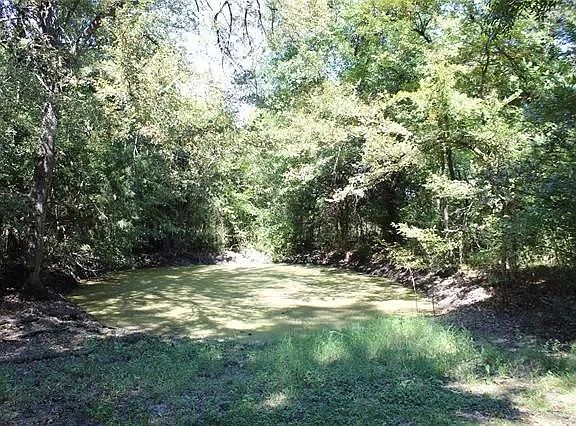 5th image of 4867 County Road 4502