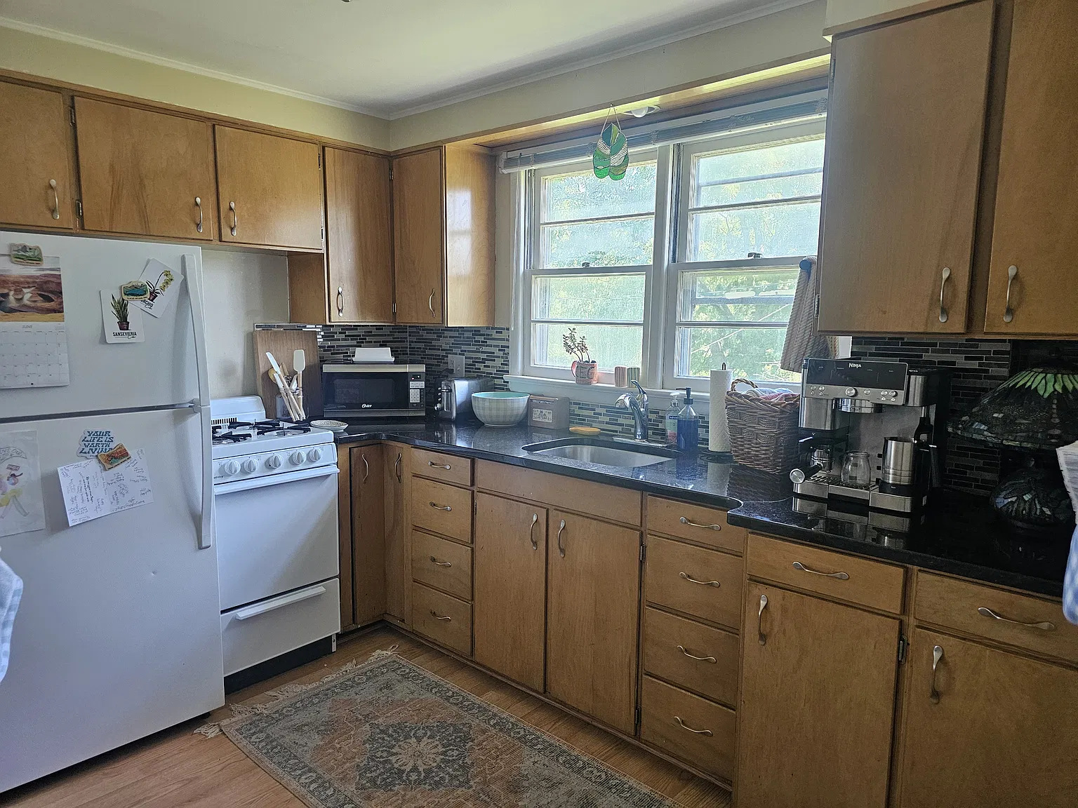 1 bed, $750 — Photo 2