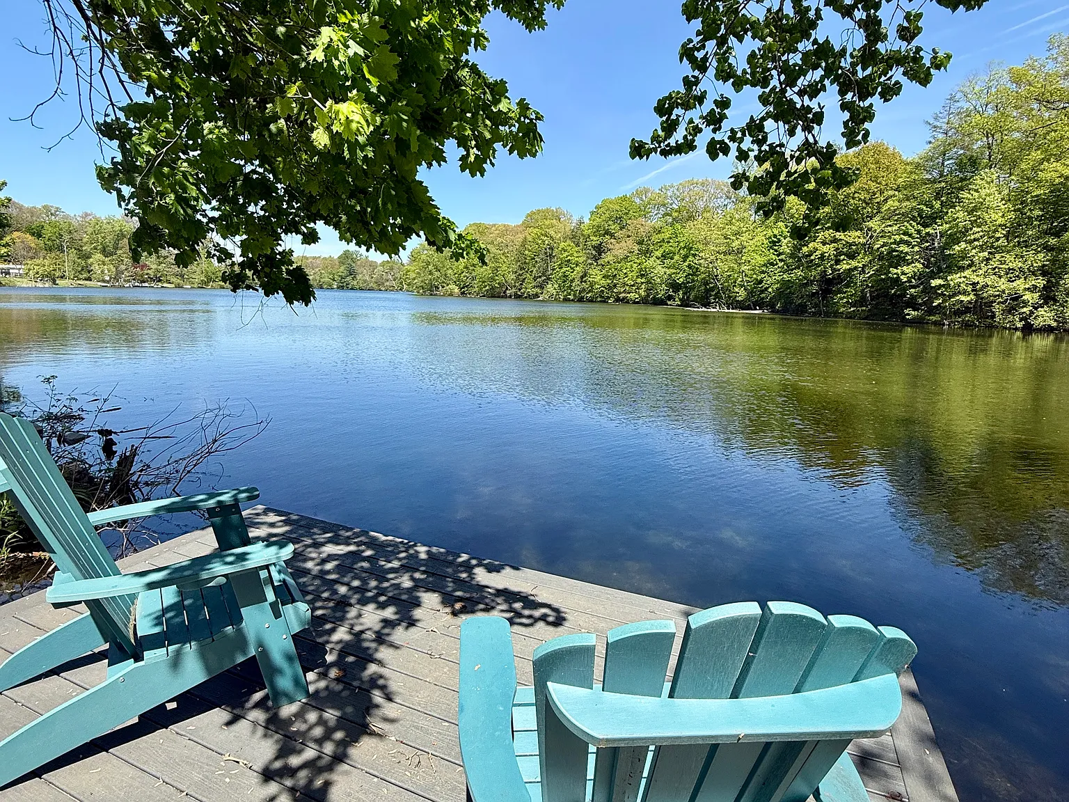 3 bed, 1400 sqft, $6,000 — Photo 3
