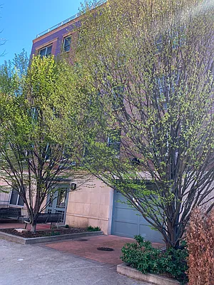 Sold by Brown Harris Stevens | media 13