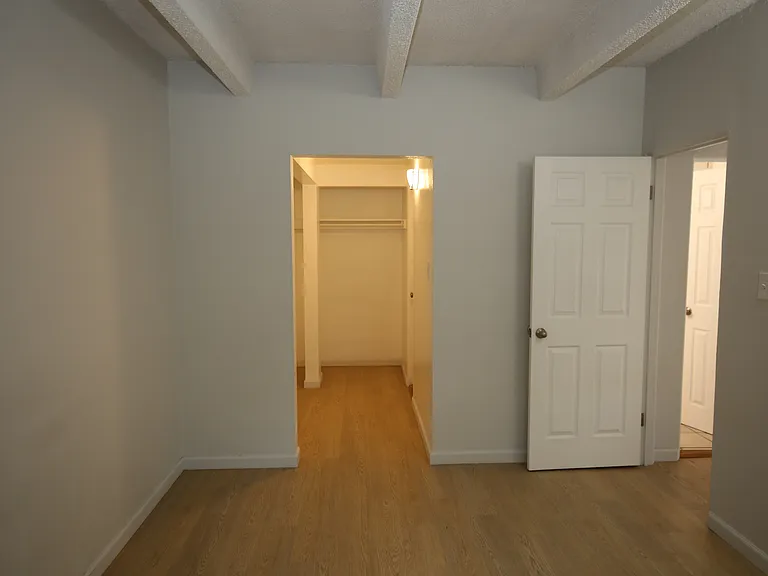 Elegant room with a spacious walk-in closet and cozy wooden flooring, illuminated by soft lighting.