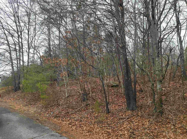 0 Campbell Covered Bridge Rd, Landrum, SC 29356