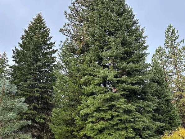 Tbd Whitefield Ln, McCall, ID 83638