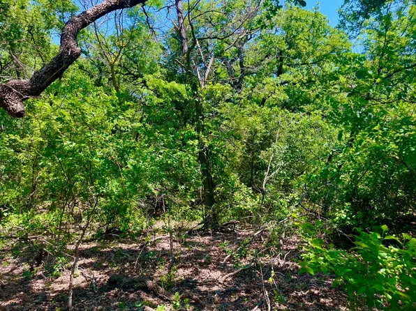 LOT 79 Kilkenny Rd, Poolville, TX 76487