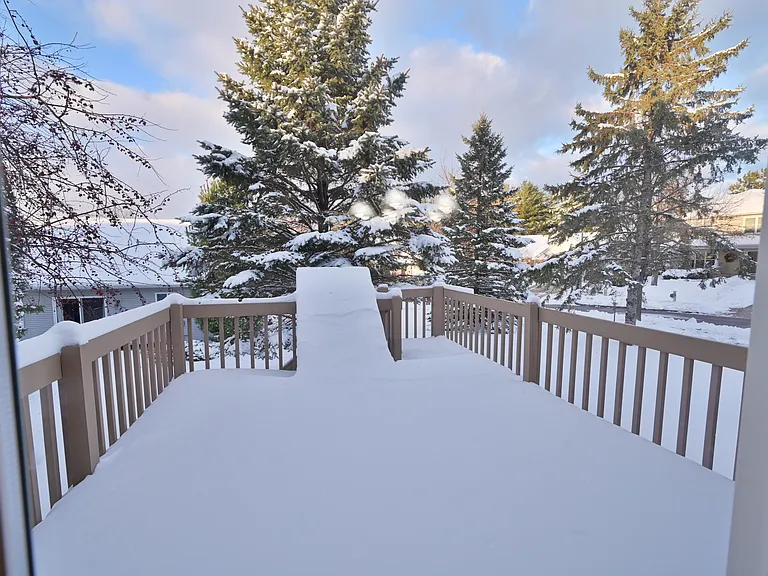 7810 Twinflower Dr — Photo 44