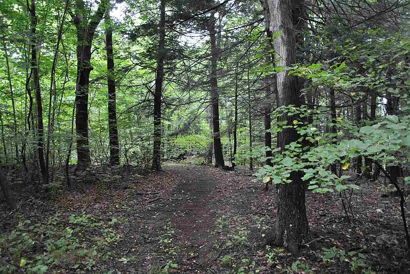 4th image of 0 BOYCE Road