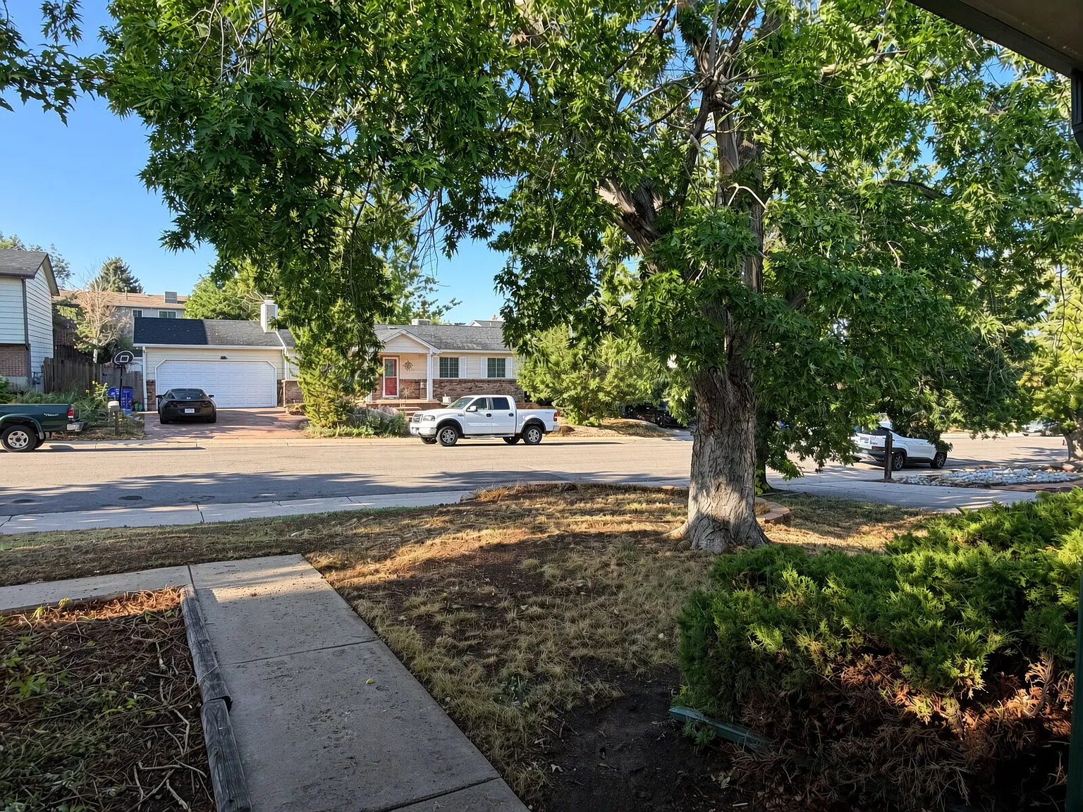 4 bed, 3.0 bath, 1837 sqft, $3,000 — Photo 4