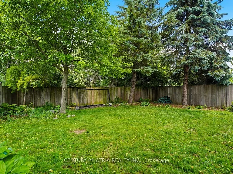 806 Marigold St — Photo 35