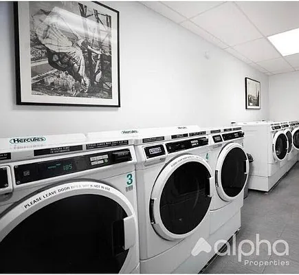 Rented by Alpha Properties NYC I LLC | media 7