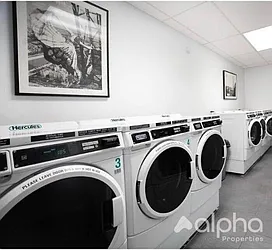 Rented by Alpha Properties NYC I LLC