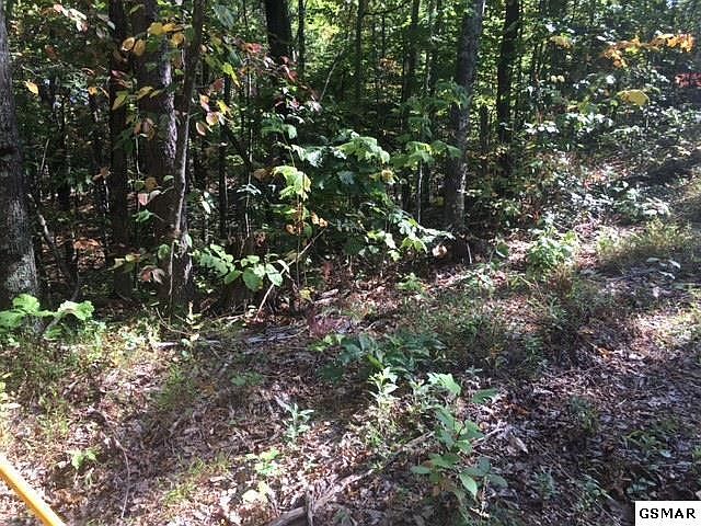 2nd image of 509 Sky View Dr Lot 509