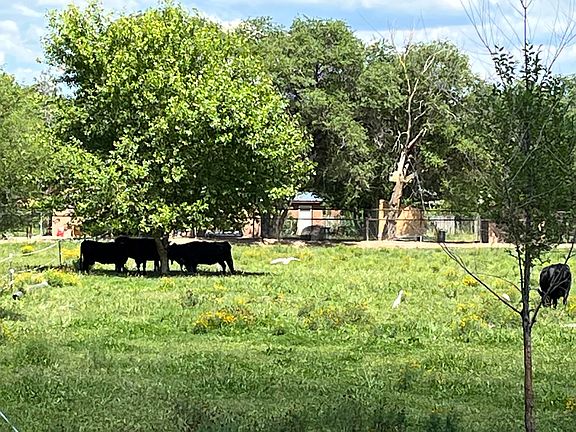 5th image of El Pinon Ln SW