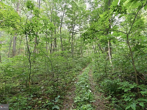 3rd image of Gooney Manor Loop