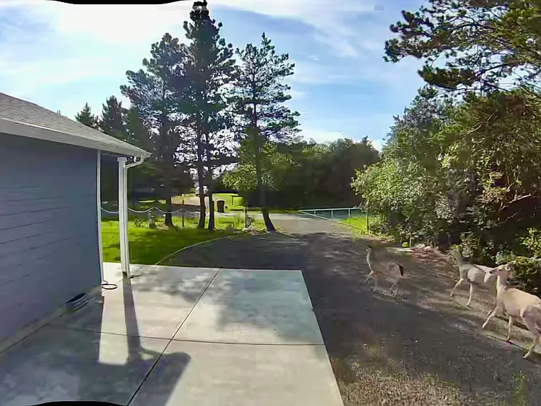Tonquin Ave SW — Photo 14
