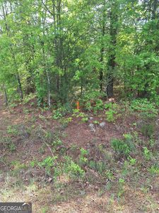 0 Hester Rd, Elberton, GA, 30635
