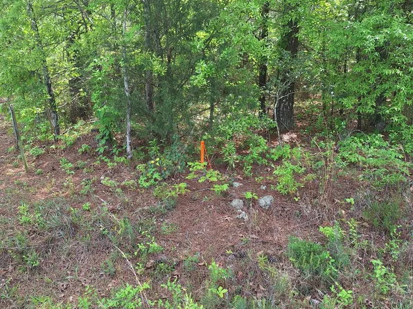 0 Hester Rd, Elberton, GA 30635