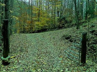 Aaron Branch Rd, Bakersville, NC 28705