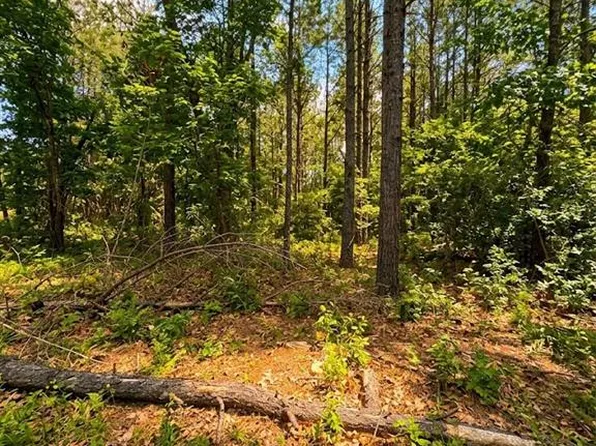 86 Southern Locust Trl Lot 241, Broken Bow, OK 74728