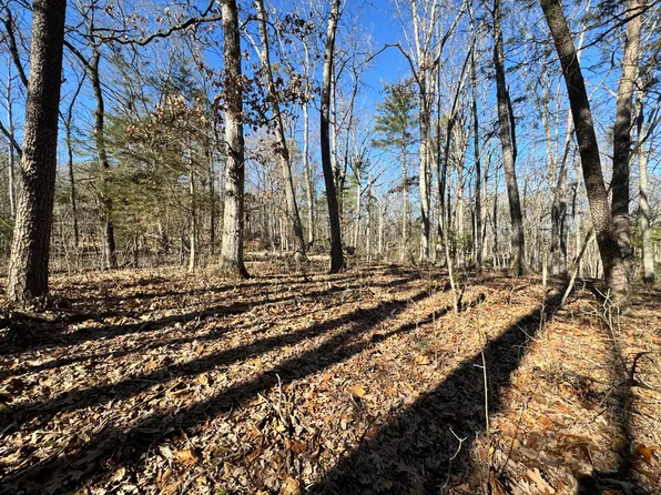0 Timber Ridge Rd, Buchanan, VA 24066
