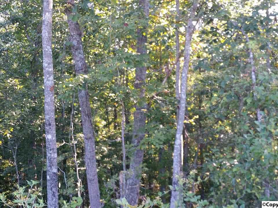 1st image of 1088 County Road 788