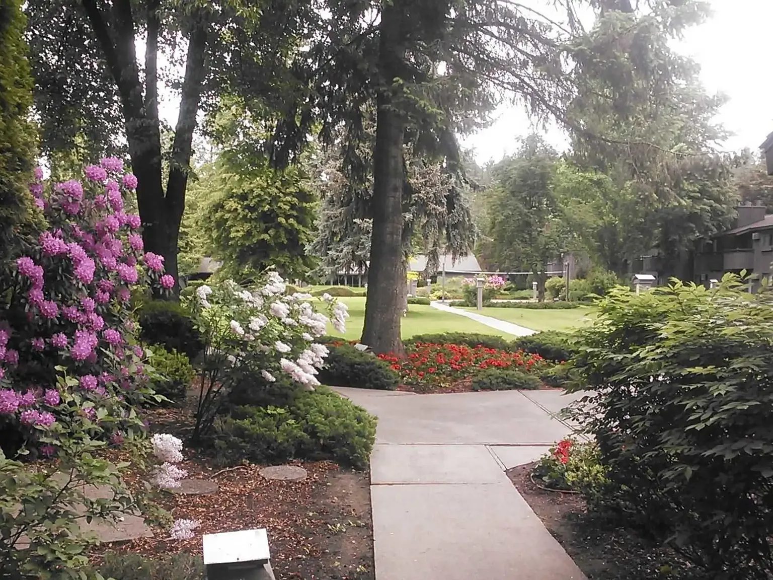 Lake Villa Apartments — Photo 4