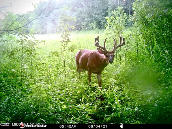 36933 285th Ave, Ogema, MN 56569