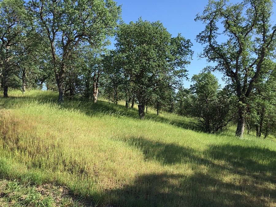 1st image of 14 Acres