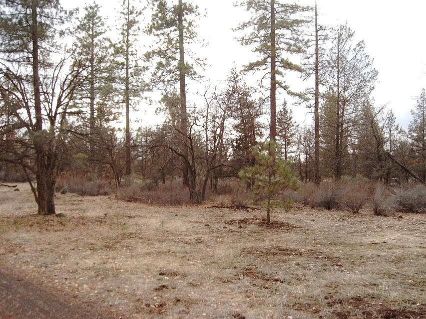 2nd image of 0 Big Lake Rd