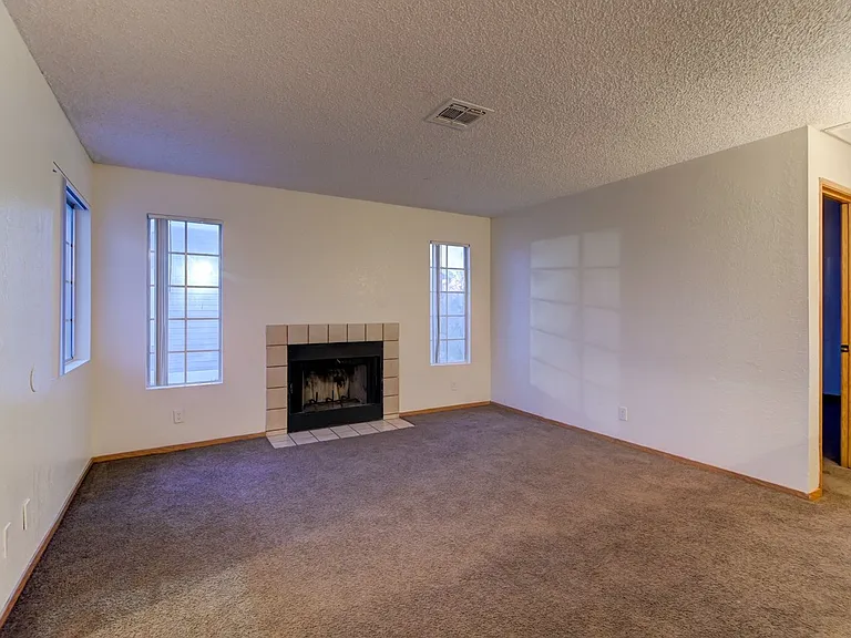4201 Terrestrial Ln — Photo 2
