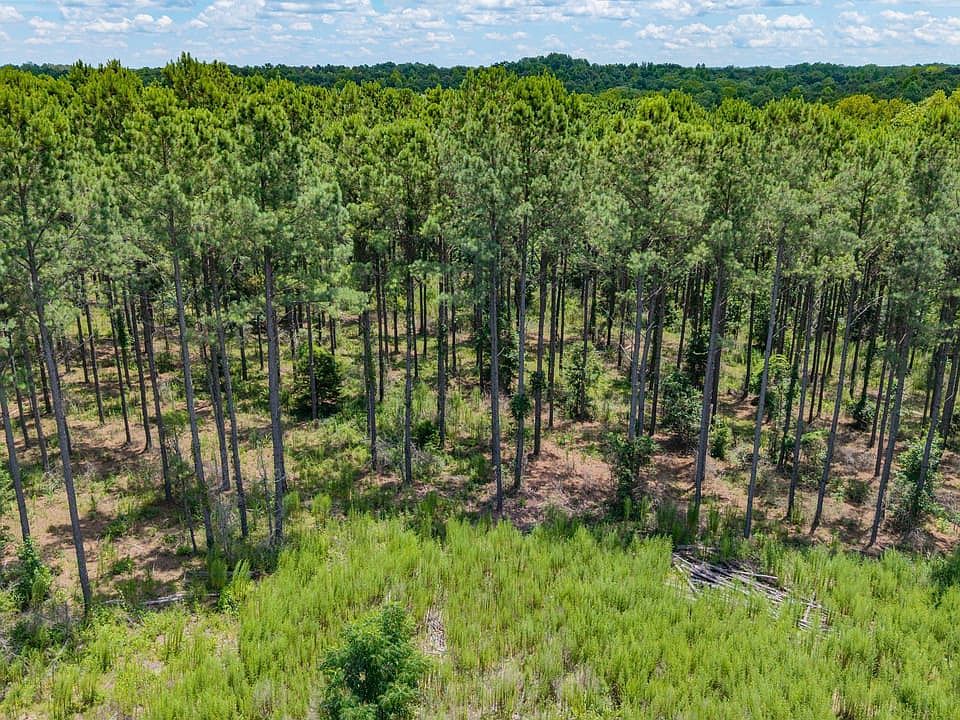 Dji 20260710131644 0105 D