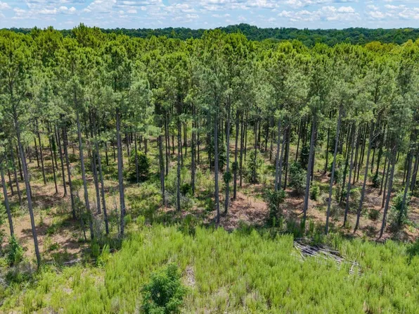 Xx1 Richland Rd, Cuthbert, GA 39840