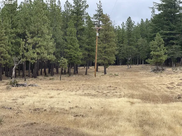 L Three 4 McNickols Rd, Goldendale, WA 98620