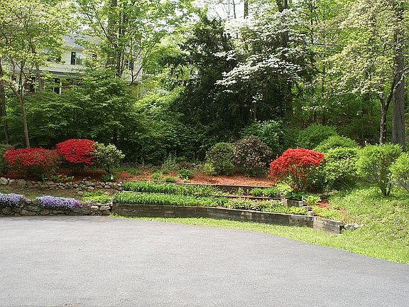 MATURE PLANTINGS BY DRIVE