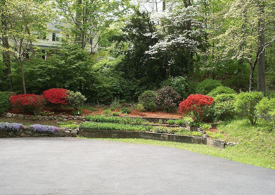 MATURE PLANTINGS BY DRIVE