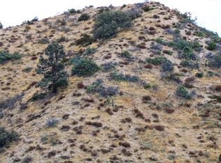 8243 Simson Rd, Pinon Hills, CA 92372