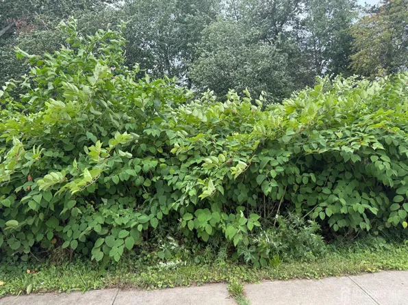1110 SE Walnut St, Piscataway, NJ 08854