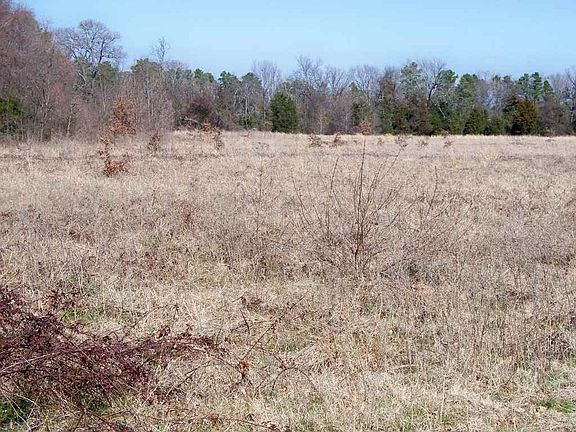 2nd image of 1711 County Road 2850