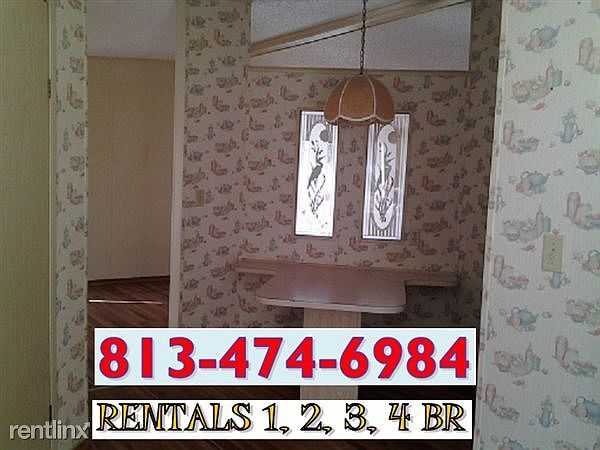 WS CELL INT 31