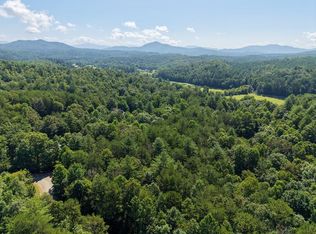 6 Willow Way, Warne, NC 28909