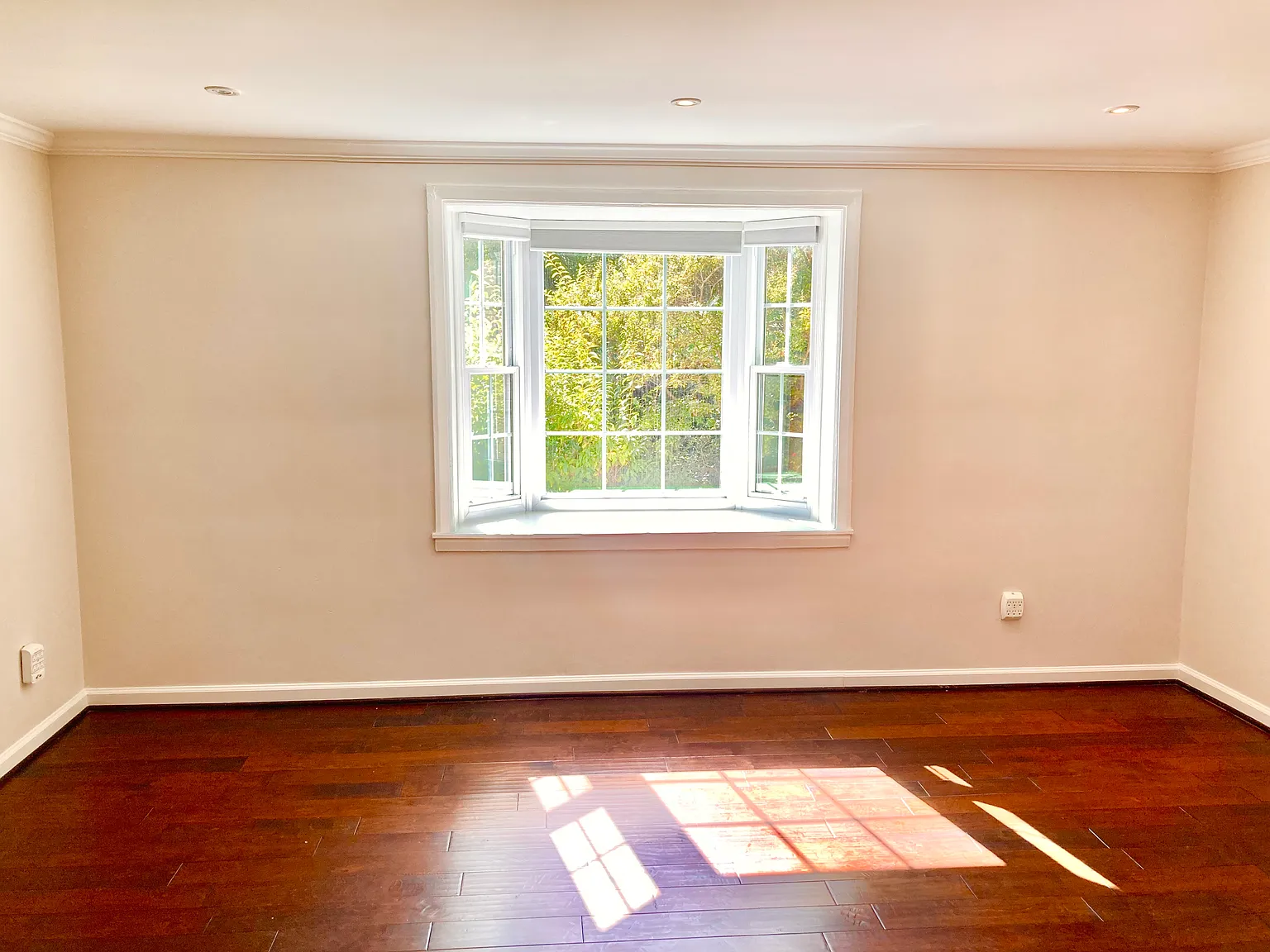 2 bed, 765 sqft, $2,300 — Photo 3