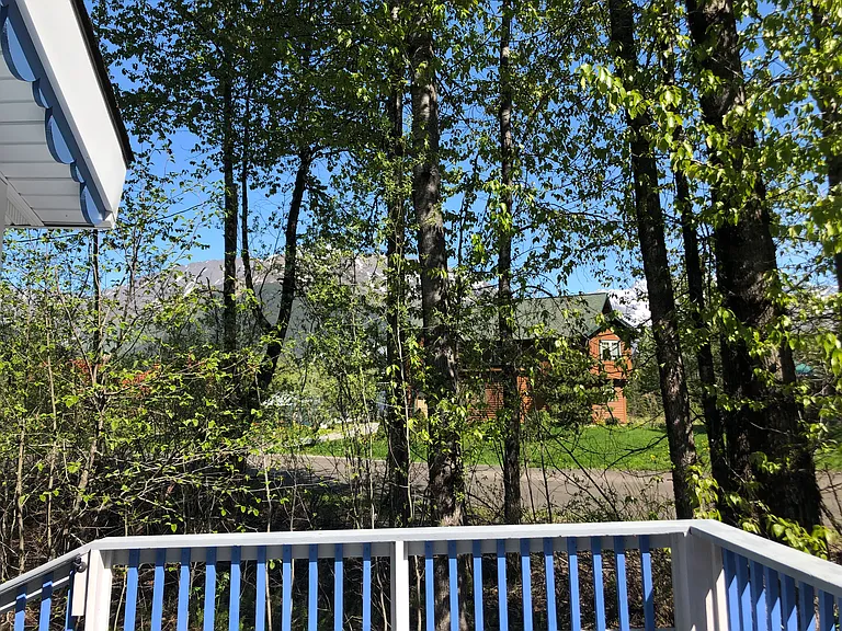 398 Timberline Dr — Photo 17