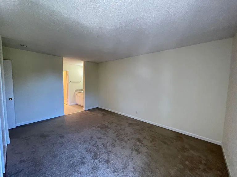 1101 Continentals Way #310 — Photo 19