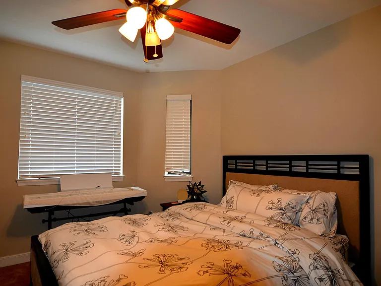 Secondary bedroom with ceiling fan and oversized windows